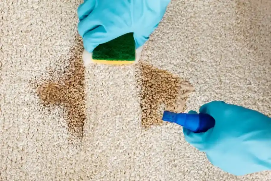Why Regular Carpet Cleaning Extends The Life Of Your Carpets Matteson, IL Why Regular Carpet Cleaning Extends The Life Of Your Carpets Matteson, IL